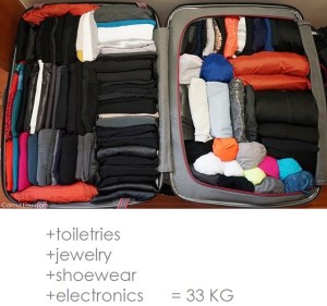 CarouLLou.com-CarouLLou-in-luggage-NB1